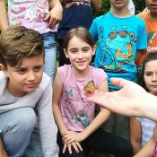 img-20180619-wa0022