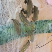 img-20180619-wa0026
